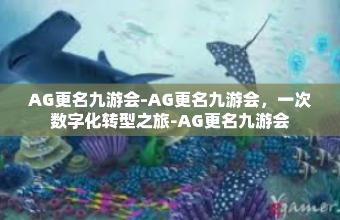 AG更名九游会-AG更名九游会，一次数字化转型之旅-AG更名九游会